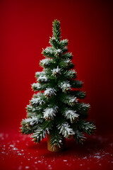 Wall Mural - fir tree christmas ornament features pine branch snow and red background suitable for winter holiday