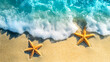 © mahamad - A starfish rests on a summer beach, capturing the essence of tropical sand.