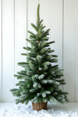Wall Mural - a beautiful christmas fir tree is adorned with a pine branch decoration on a snowy white wooden back