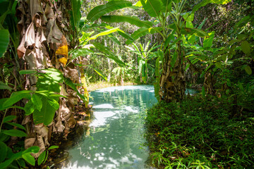 Wall Mural - View of Fervedouro do Ceiça, a unique karst spring located at Jalapão State Park - Tocantins, Brazil