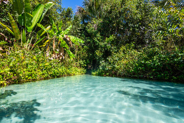 Wall Mural - View of Fervedouro Por Enquanto, a unique karst spring located at Jalapão State Park - Tocantins, Brazil