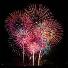 Wall Mural - Fireworks display