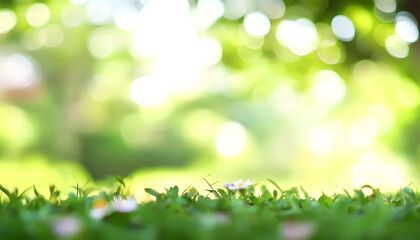 Wall Mural - blur background green park garden nature bright sunny forest. blurry outdoor park in spring time glo