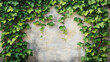 © Infinity Lens - Stone wall covered in lush green vines, plant leaves adorning architecture structure, concrete surface embraced by garden foliage, old building backdrop with natural texture.
