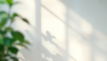 Aufkleber - Abstract nature scene. Soft shadows of leaves, plants on white wall. Sunlight creates gentle pattern on wall. Indoor setting. Minimalist style perfect for product display. Suitable for presentation