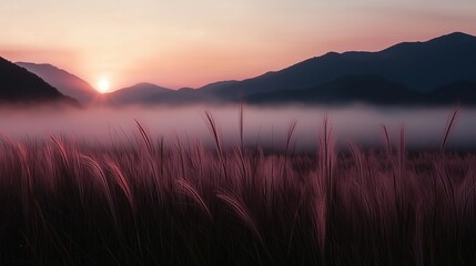 Wall Mural - golden light breaks over misty mountains and grassland at dawn in a serene landscape