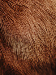brown fur texture