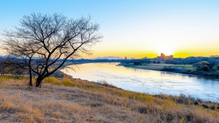 Sticker - Sunset over calm river, barren tree, and distant city.