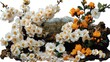 © kinara art design - Spring blossoms, white and orange flowers on dark rock, mountain background.