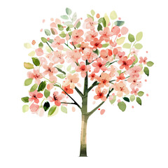 Wall Mural - A watercolor vector of the first spring blossoms on a tree, isolated on a white background. Blossoms vector.
