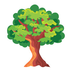 oak tree greenery