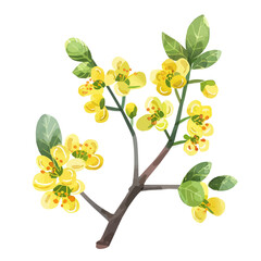 Wall Mural - A watercolor vector of spring blossoms on a tree branch, isolated on a white background. Spring blossoms on a tree branch vector.
