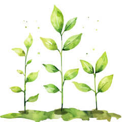 Sticker - A watercolor vector of young saplings growing in the spring, isolated on a white background. Young saplings growing in the spring vector.
