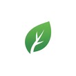 © Ranazain - Abstract green leaf logo design, symbolizing nature, sustainability, and eco-friendly practices