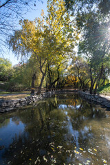 Wall Mural - Beautiful autumn view of Yuanmingyuan Park in Beijing, China