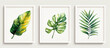 © sultan - Set of interior botanical wall art nature leaf