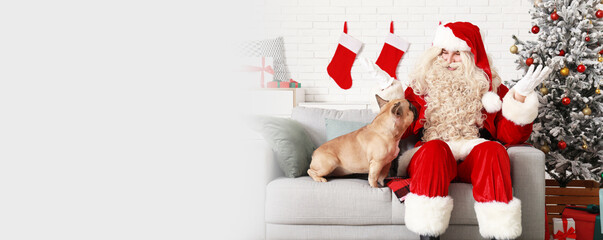 Canvas Print - Confused Santa Claus with cute French bulldog in room decorated for Christmas