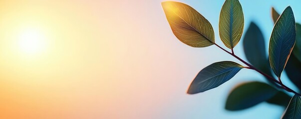Poster - Micro foliage idea. A close-up view of lush green leaves basking in warm sunlight, creating a serene atmosphere.