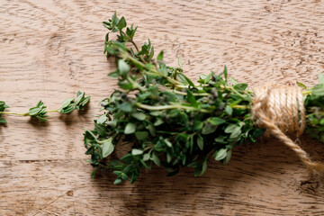 fresh green Thyme herb plant