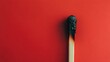 © Olena - burning match on a red background, concept of brightness, danger