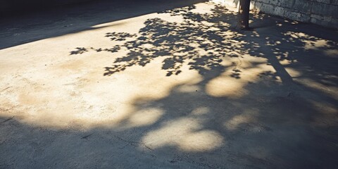 Wall Mural - Tree shadow cast on a concrete floor creates an intriguing background. The interplay of the tree shadow and concrete floor offers a visually captivating backdrop for various creative projects.