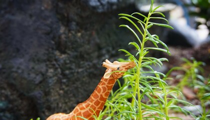 Wall Mural - giraffe toy photographed close up to its head. looks cute and unique with nature set, green plants