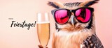 Frohe Feiertage Coole Eule mit Champagner und Sonnenbrille feiert die Feiertage