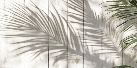 Aufkleber - A backdrop featuring white wooden panels is accentuated by the shadow of a tropical leaf, creating a striking visual contrast with natures elements prominently highlighted.