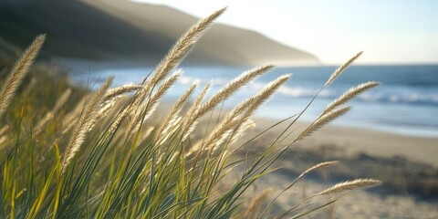Wall Mural - Backlit grass stems create a captivating scene along a coastal area, showcasing the beauty of grass in light and shadow at the shoreline. The grass stems gently sway in the breeze.
