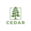 © fahmi - Cedar pine tree logo nature organic environment icon symbol illustration