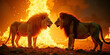 © joge - lion with fire illustration design in a beautiful background