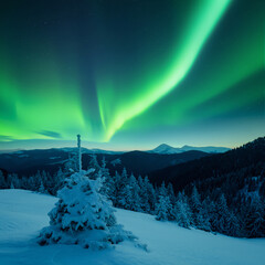 Wall Mural - incredible christmas nightscape with snowy fir-trees and polar lights in starry sky. fairy northern 