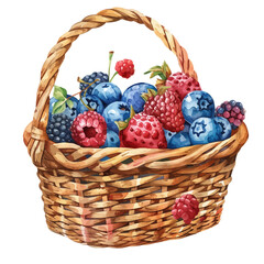 Poster - A watercolor vector of a summer picnic basket with fresh berries, isolated on a white background. Summer picnic basket berries vector.
