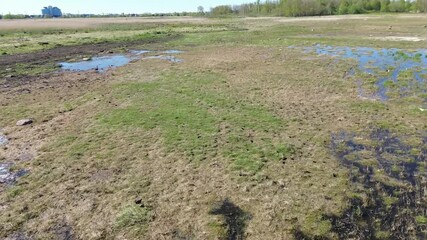 Poster - Aerial footage of water puddles in a field on a sunny day in Paljassaare peninsula, Tallinn, Estonia