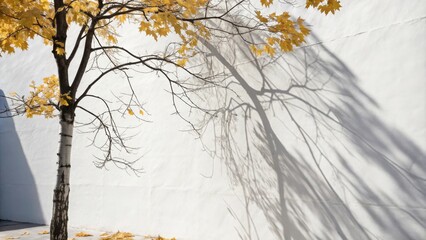 Aufkleber - A bare-branched tree with yellow leaves casts a long shadow against a white wall in the midday sun