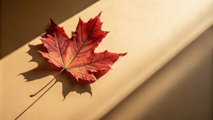 Aufkleber - A single red maple leaf lies on a beige surface bathed in the warm glow of sunlight, casting an intricate shadow that dances across the backdrop.