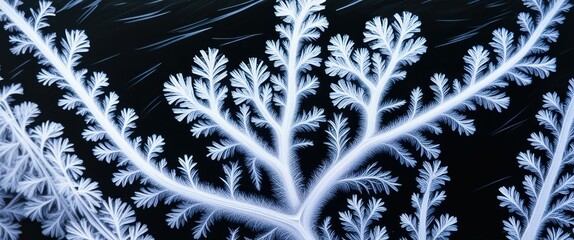 Macro photograph, intricate frost pattern, delicate ice crystals, fern-like structure, winter details, black background, cold temperature, nature's artwork, symmetry in nature, frozen beauty, high con