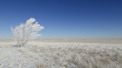 Canvas Print - Frosty tree in winter landscape.