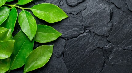 A bunch of green leaves on a black stone surface