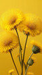 © DIA - A vibrant yellow dandelion field on a yellow background