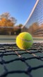 © ArtCookStudio - Yellow tennis ball caught in blue net at a tennis court during a sunny afternoon with blurred background of