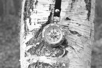Wall Mural - classic navigation compass on natural background
