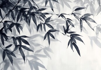 Poster - Elegant bamboo leaves create intricate shadows on a light background in a serene indoor environment