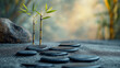 © SashaMagic - Bamboo and stones in a tranquil zen garden.