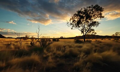 Wall Mural - Golden sunlight bathes serene savanna landscape with scattered trees under vast cloudy sky at sunrise or sunset