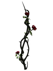 3D rendered dark fantasy branch with thorns and red roses isolated on transparent background