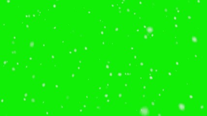 Wall Mural - Realistic snowfall video.  Snow fluff isolated on green background. Use chroma key.