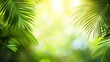 © Natchooda - A vibrant tropical banner with palm leaves creating a lush, green backdrop, perfect for summer themes with clear copy space for text