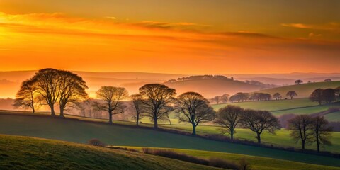 Wall Mural - Silhouette of trees and rolling hills at sunset in British countryside, sunset, trees, hills, silhouette, British