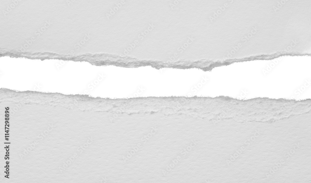 torn blank pages with uneven texture edges. set of ripped white paper ...